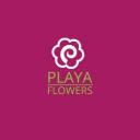 Playa Del Rey Florist logo